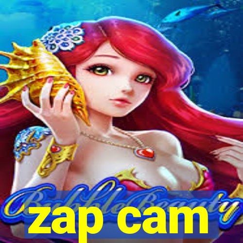 zap cam